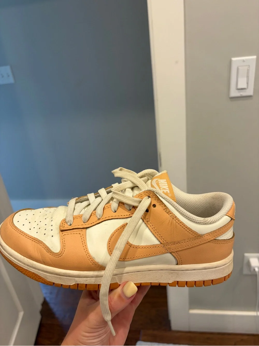 Nike classic low